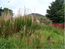 Menstrie Primary School